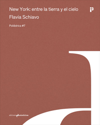 New York: entre la tierra y el cielo - Flavia Schiavo